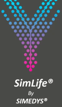 SIMEDYS